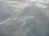 AY - Les dauphins se bousculent pour approcher du bateau